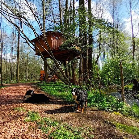 Treehouse V Brdech Villa Bohutin  Bagian luar foto